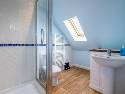 Picture 14